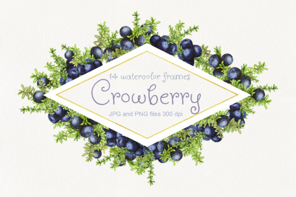 14 Frames with Watercolor Crowberry: Decorative Elements Review