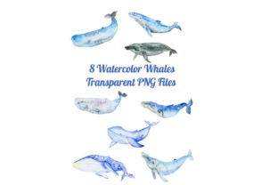 8 Watercolor Whale Silhouettes: A Designer Review