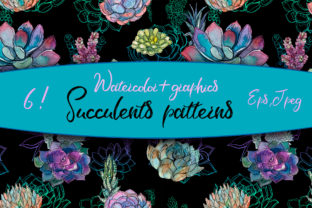 Watercolor Patterns with Succulents Review
