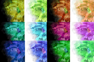 Watercolor Rose 1 Digital Design 12 Backgrounds Review