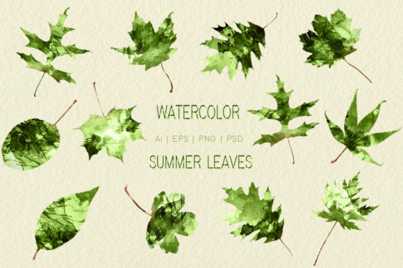 Watercolor Summer Leaves: Decorative Elements